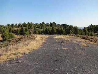 Suelo rústico en Paraje Sierra de la Casa del Calar 6