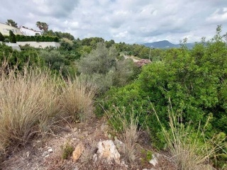 Suelo urbanizable sectorizado en C/ Sant Pere - Oliva - 8