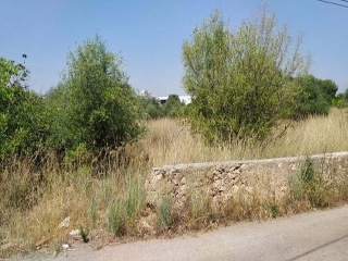 Suelo urbanizable programado en C/ Montanejos - Villarreal - 6