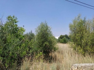 Suelo urbanizable programado en C/ Montanejos - Villarreal - 8