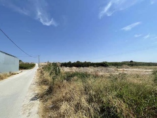 Suelo en Pt Aus I Este Ctra de Archena  Lorquí - 7