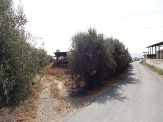Finca rústica con edificación en Puerto Lumbreras - Murcia - 6