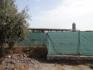 Finca rústica con edificación en Puerto Lumbreras - Murcia - 8