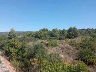 Solar en Pt  SAPU-IN-1 - Ribesalbes - 8
