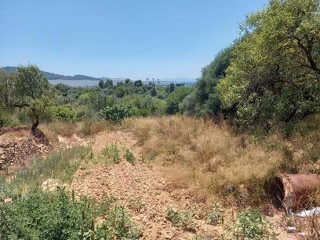 Suelo en Sant Joan de Moró - Castellón - 6