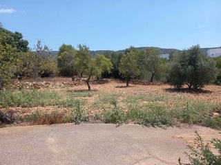 Suelo en Sant Joan de Moró - Castellón - 8