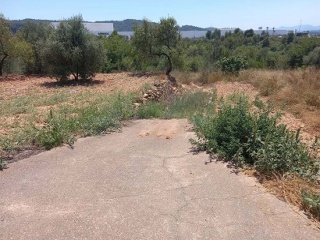 Suelo en Sant Joan de Moró - Castellón - 10