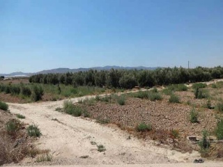 Suelo rústico en Paraje Lebor Alto 6