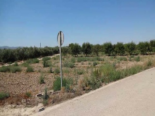 Suelo rústico en Paraje Lebor Alto 7