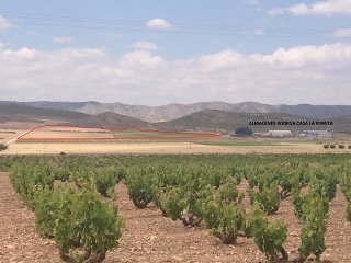 Suelo urbanizable sin sectorizar en PT UESS RDM1 - Jumilla - 6