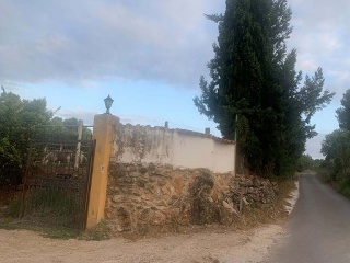 Finca rústica con edificación en Partidas Fornas, Pol 11 - Turís-  7