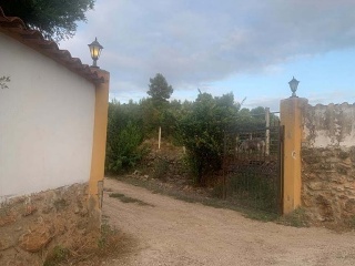 Finca rústica con edificación en Partidas Fornas, Pol 11 - Turís-  8