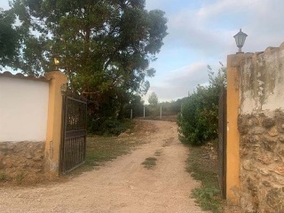 Finca rústica con edificación en Partidas Fornas, Pol 11 - Turís-  9