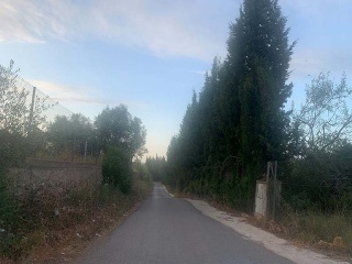 Finca rústica con edificación en Partidas Fornas, Pol 11 - Turís-  10