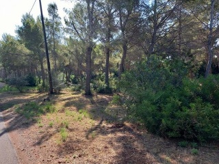 Suelo no urbanizable en PT Sector R-6A UE2 - Oropesa del Mar - 7