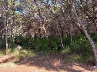 Suelo no urbanizable en PT Sector R-6A UE2 - Oropesa del Mar - 8