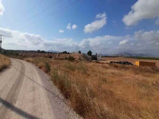 Suelo rústico en Pt Campo de La Matanza - Finca El Reloj -  Fortuna  6