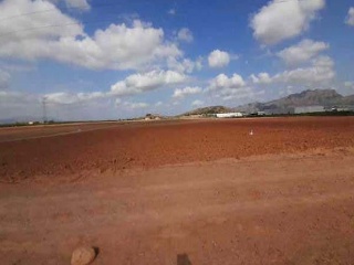Suelo rústico en Pt Campo de La Matanza - Finca El Reloj -  Fortuna  8