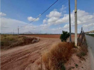 Suelo rústico en Pt Campo de La Matanza - Finca El Reloj -  Fortuna  11
