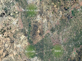 Suelo urbanizable sectorizado en Carríl Pinos 5