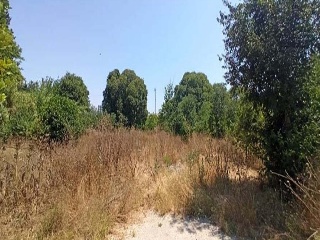Suelo urbanizable sectorizado en Carríl Pinos 6