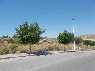 00793-0001 7