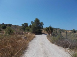 00793-0001 12