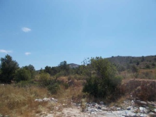 00793-0001 13