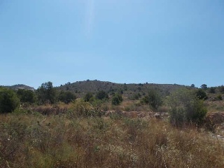 00793-0001 14