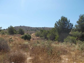 00793-0001 15