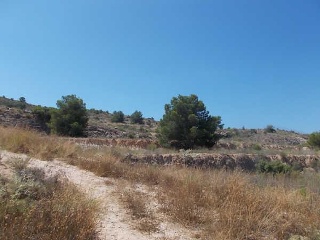 00793-0001 16