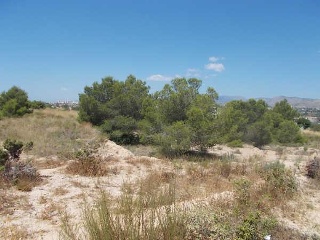 00793-0001 18