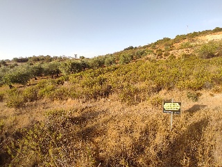 Suelo en Almogía (Málaga) 2