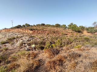 Suelo en Almogía (Málaga) 5