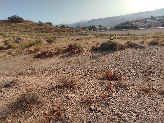 Suelo en Almogía (Málaga) 8