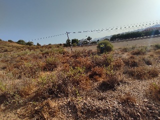 Suelo en Almogía (Málaga) 11