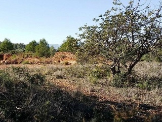 Otros en venta en Sant Joan De Moró de 54636  m²