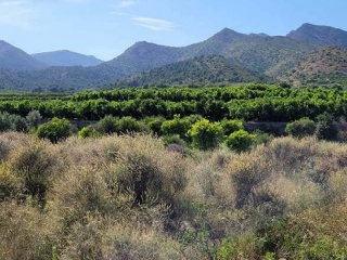 Suelo rústico en Partida de La Murta - La Vall d´Uixò - 7