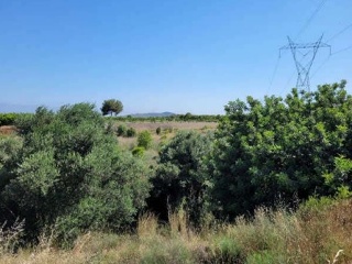 Suelo rústico en Partida de La Murta - La Vall d´Uixò - 8