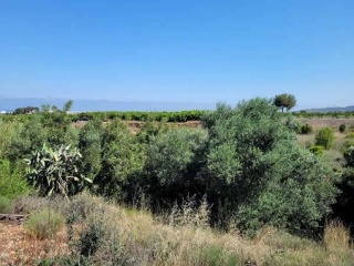 Suelo rústico en Partida de La Murta - La Vall d´Uixò - 9