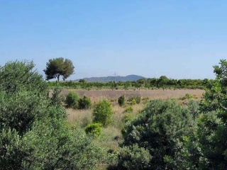 Suelo rústico en Partida de La Murta - La Vall d´Uixò - 10