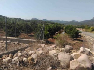 Suelo rústico en Paraje La Sarva - Estivella - 9