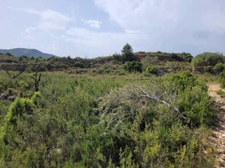 Suelo rústico en Pt Rincón de La Montane, Pol 10 - Siete Aguas - 6