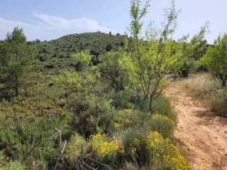 Suelo rústico en Pt Rincón de La Montane, Pol 10 - Siete Aguas - 7