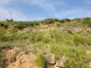 Suelo rústico en Pt Rincón de La Montane, Pol 10 - Siete Aguas - 8