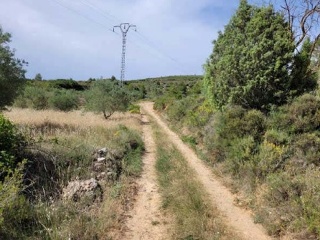 Suelo rústico en Pt Rincón de La Montane, Pol 10 - Siete Aguas - 9