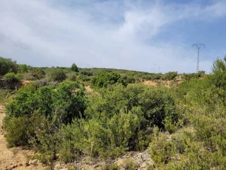 Suelo rústico en Pt Rincón de La Montane, Pol 10 - Siete Aguas - 10