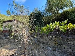 Vivienda aislada en C/ del Pi 5