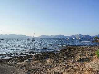 Suelo con licencia en Alcúdia 13
