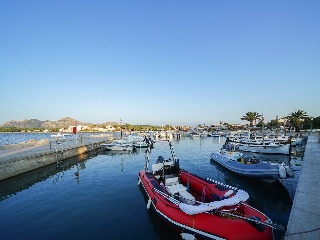Suelo con licencia en Alcúdia 16
